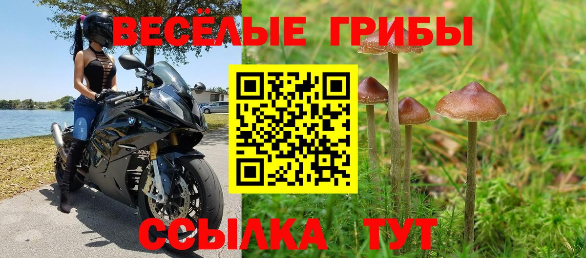 Псилоцибиновые грибы Magic Shrooms  Вход с VPN  Прокопьевск 